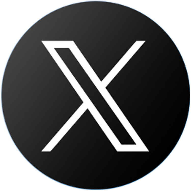 X (Twitter)